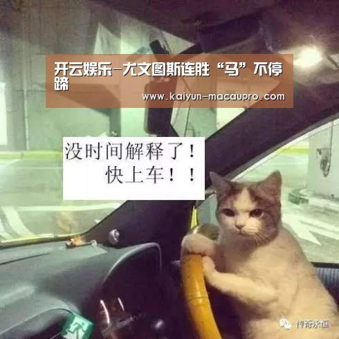 开云真人